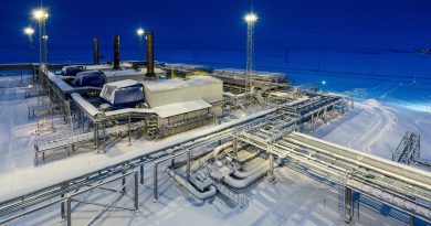 ООО «Газпром добыча Ямбург» поделилось опытом разработки месторождений ООО «Газпром добыча Ямбург» поделилось опытом разработки месторождений