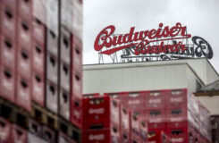 Budweiser изготовит пиво на электричестве от солнечных панелей